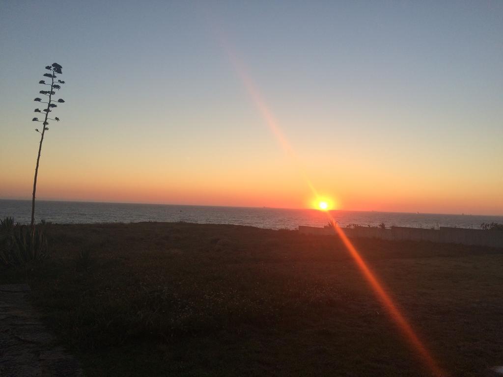 Vila Mar Porto Covo Exteriör bild